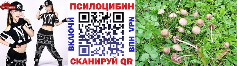 Псилоцибиновые грибы GOLDEN TEACHER  hydra   Приозерск 